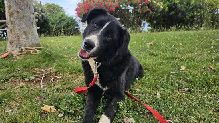 Aχ το Μπεργκεράκι μας όταν φοβάται όλα αυτά που δεν ξέρει, θέλουμε να του πούμε &quot;μη φοβάσαι&quot;, όχι εσύ...