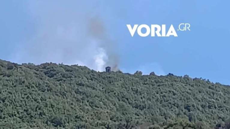 Φωτιά σε δασική έκταση στο Άγιον Όρος:  Συναγερμός στην Πυροσβεστική [Βίντεο]