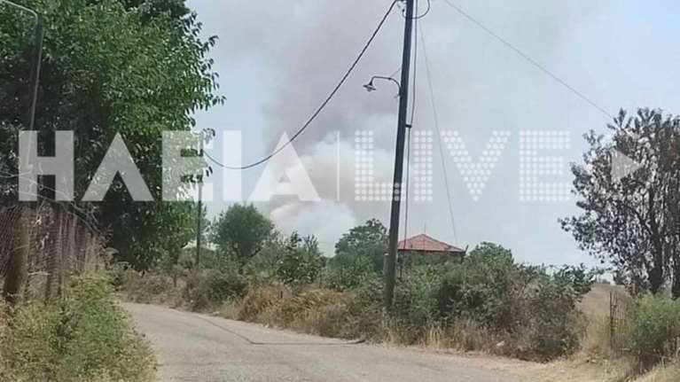 Μαίνεται η φωτιά Ηλεία: Στη Νεμούτα το πύρινο μέτωπο - Διακοπή κυκλοφορίας σε τμήμα της εθνικής οδού Τρίπολης – Πύργου