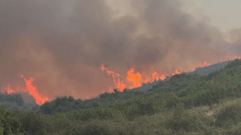 Πυρκαγιά σε αγροτοδασική έκταση στη Λιοδώρα Αρκαδίας - Βελτιωμένη η εικόνα της φωτιάς στη Κάρυστο