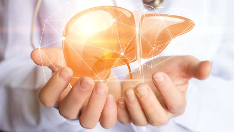 Παθήσεις του ήπατος: Τα συμπτώματα και οι "κακές" συνήθειες