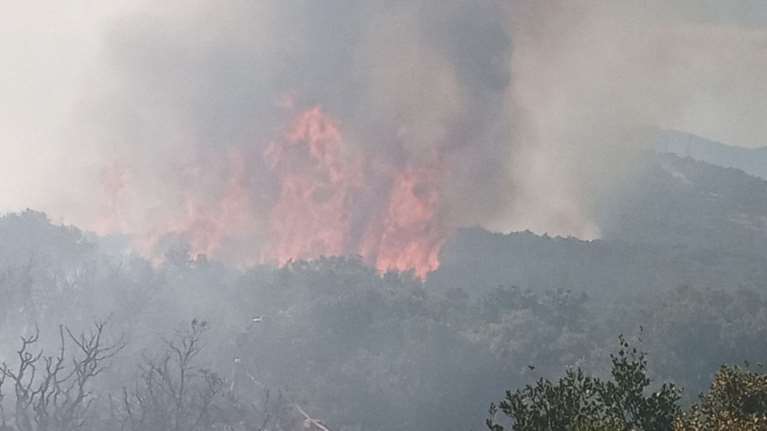 Σε ύφεση η φωτιά σε δασική έκταση στην Κάντια Ναυπλίου