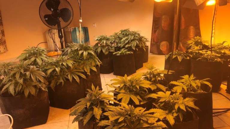 Εγινε κι αυτό: Τρία εργαστήρια υδροπονικής καλλιέργειας κάνναβης, σε σπίτι στους Θρακομακεδόνες [Εικόνες]