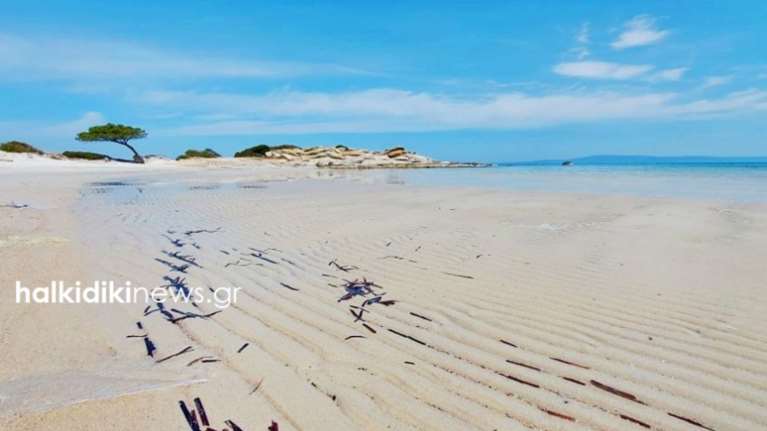 Χάθηκε η θάλασσα στην παραλία της Σιθωνίας: Εκεί που έκαναν βουτιές, τώρα κάνουν... βόλτες [εικόνες]