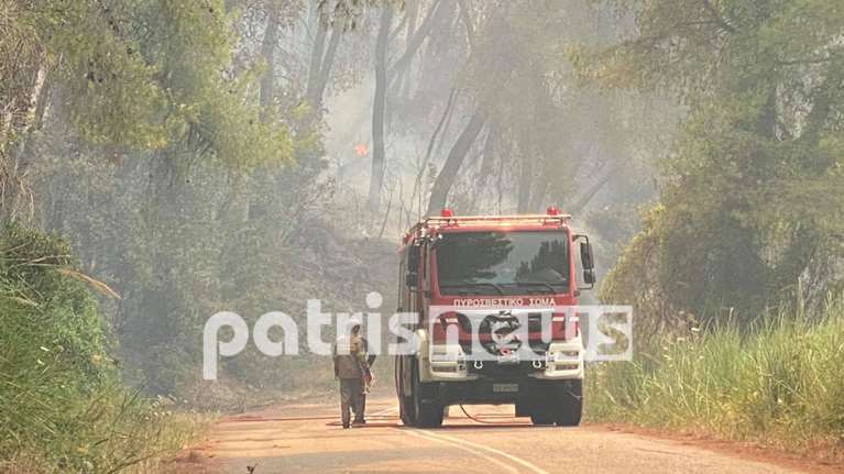 Φωτιά στην Ηλεία: Συνεχίζεται η μάχη με τις φλόγες [εικόνες, βίντεο]