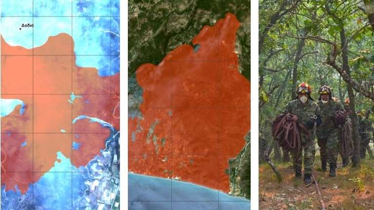 Θλιβερή καταστροφή: Τουλάχιστον 25.000 στρέμματα κάηκαν στη Δαδιά Έβρου και 17.000 στα Βατερά Λέσβου