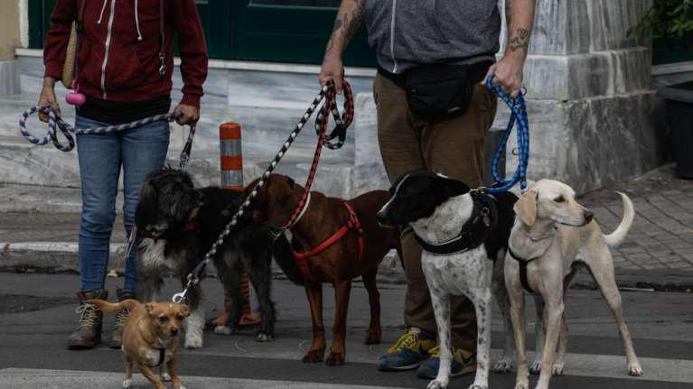 Ερευνα: Εκτρεφόμενα ζώα και κατοικίδια δεν μεταδίδουν σε ανθρώπους τον κορονοϊό