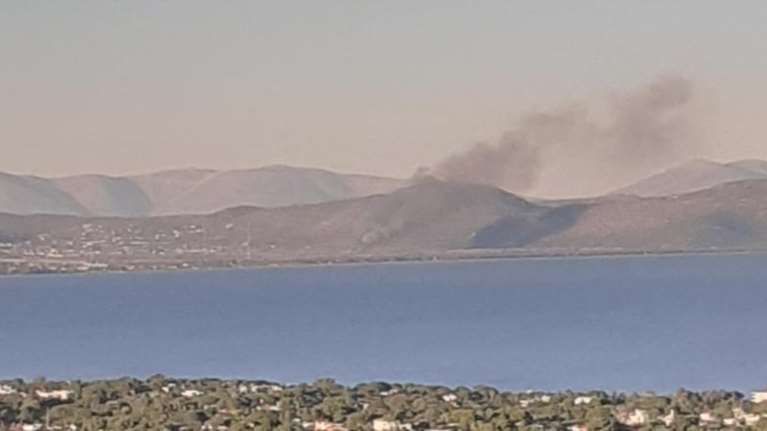 Φωτιά ξανά στο Σχινιά δίπλα από το κωπηλατοδρόμιο - Mεγάλη επιχείρηση της Πυροσβεστικής