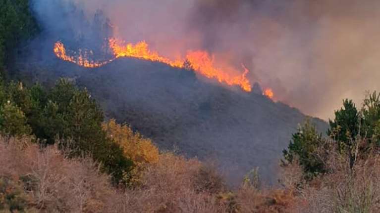 Μεγάλη φωτιά στον Πάρνωνα  στην Αρκαδία - Αντιδήμαρχος: Δίνουμε μάχη [Εικόνες]