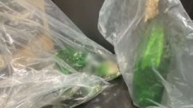 Πάτρα: Βρέθηκαν βόμβες μολότοφ σε παιδική χαρά - Έκρυψαν τη σακούλα κάτω από την τσουλήθρα