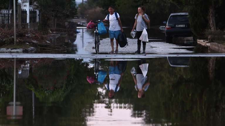 Θεσσαλία: Τα λιμνάζοντα νερά αυξάνουν τα κουνούπια – Κίνδυνος έξαρσης του ιού του Δυτικού Νείλου