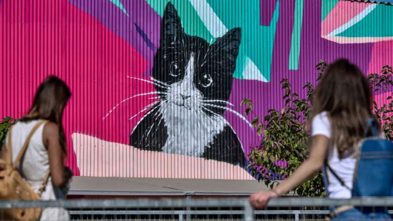 Οι γάτες χαρτογραφούν τη θέση των ιδιοκτητών τους χρησιμοποιώντας ηχητικά σήματα