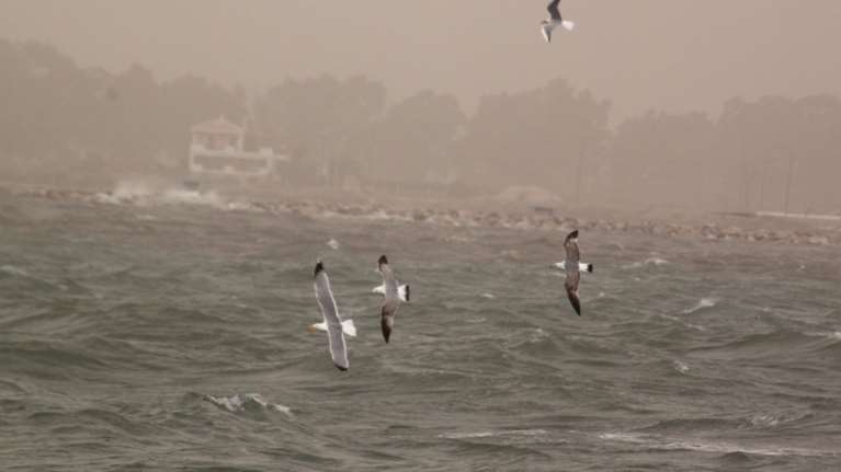 Μερομήνια: Πώς θα εξελιχθεί ο χειμώνας - Με τι καιρό θα γιορτάσουμε το Πάσχα