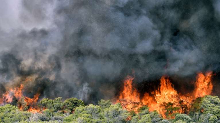 Συναγερμός στην Πυροσβεστική: Σε εξέλιξη η φωτιά στον Κάλαμο - Έσβησαν τα μέτωπα σε Πάρνηθα και Διόνυσο