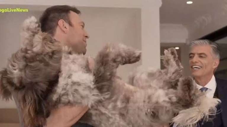 Η εισβολή της Φάρλι στη συνέντευξη Κασσελάκη  και το σχόλιο για τη &quot;δεξιόστροφη σκυλίτσα&quot;: &quot;Είναι η ιδιοκτήτρια του σπιτιού&quot;