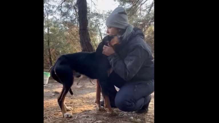 Ο Θάνος είναι πετσί και κόκκαλο από την αδυναμία, τρέμοντας, με την ουρίτσα του στα σκέλια το μόνο που θέλει είναι χάδια - Βίντεο