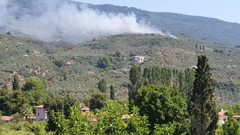 Αδιανόητο: Ανδρας έκαιγε ξερά χόρτα στην Αμφισσα και έβαλε φωτιά - Τον συνέλαβαν και του επέβαλαν απλώς πρόστιμο