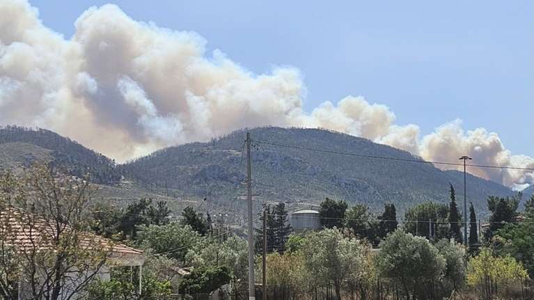 Πυρκαγιά στις Αχαρνές - Κοντά στα σπίτια οι φλόγες