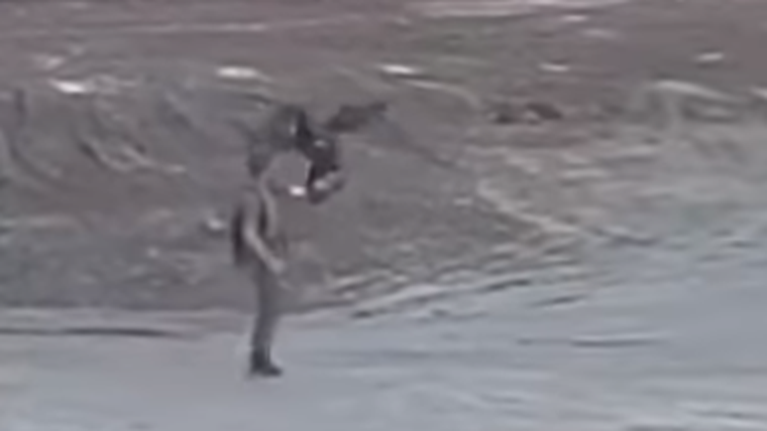 &quot;Αγιά Σοφιά&quot;: Ο αετός που θα πετάει στα παιχνίδια της ΑΕΚ εκπαιδεύεται [Βίντεο]