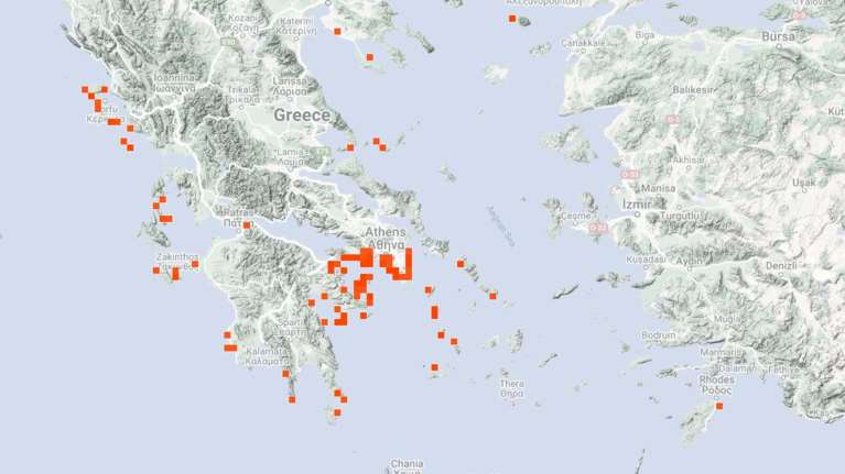 Μωβ μέδουσες: Συναγερμός για την επέλασή τους στις ελληνικές θάλασσες - Σε ποιες περιοχές εντοπίζονται [Χάρτης]