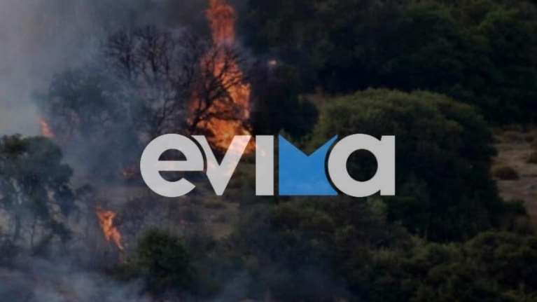 Φωτιά στη Ριτσώνα – Μεγάλη κινητοποίηση της πυροσβεστικής