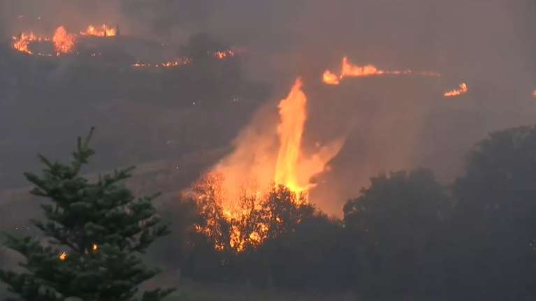 WWF: Η φωτιά στον Φενεό η πιο καταστροφική του καλοκαιριού - 16.000 στρέμματα σε περιοχή Natura με σπάνιο ελατόδασος