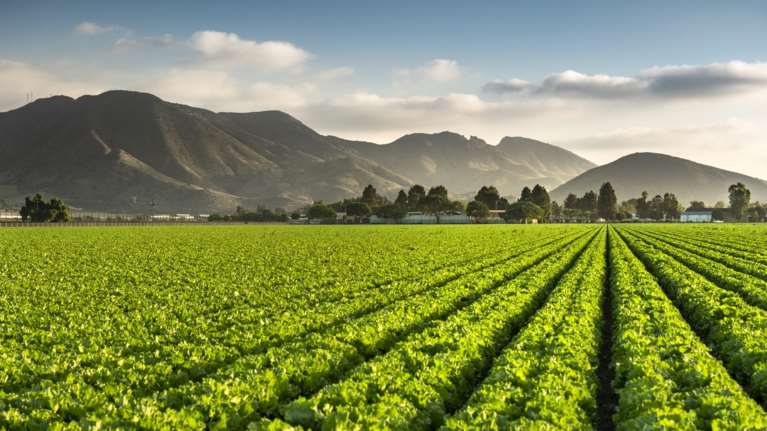 Σκάνδαλο ΟΠΕΚΕΠΕ: Έδιναν επιδοτήσεις σε σερβιτόρους και DJ - Είχαν δηλώσει χωράφι στη... Λίμνη Κάρλα - Ο ρόλος των δύο αρχηγών