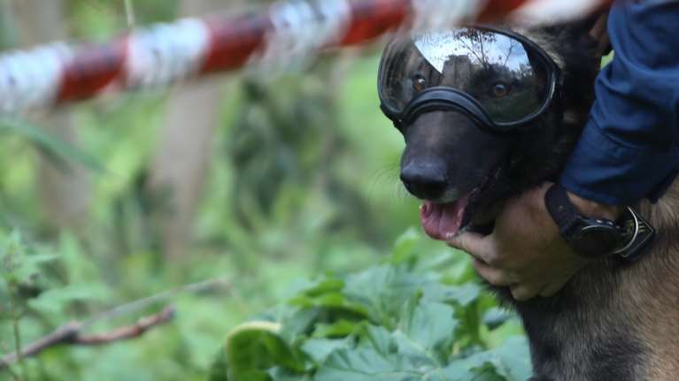 Όλυμπος: Σε εξέλιξη μεγάλη επιχείρηση για τη διάσωση γυναίκας,  κοντά στο καταφύγιο "Αγαπητός"
