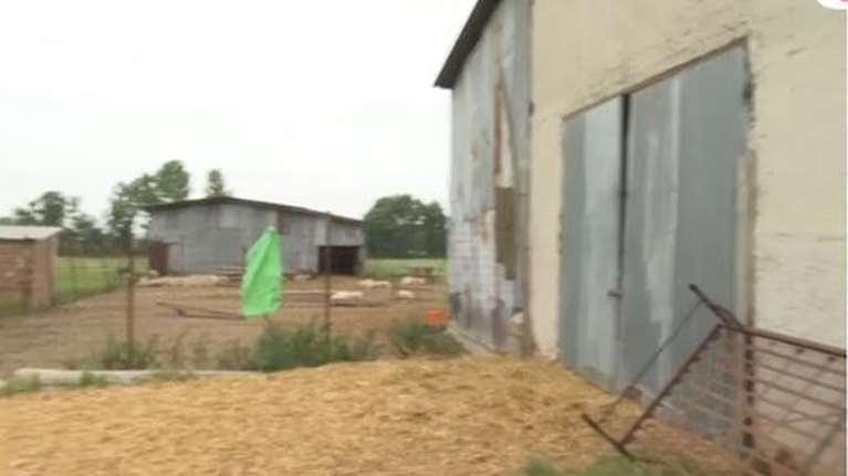 Κιλκίς: Προσωρινά κρατούμενοι οι δύο ανήλικοι που πήγαν με το θύμα στην κτηνοτροφική μονάδα- Οι κατηγορίες που τους βαραίνουν