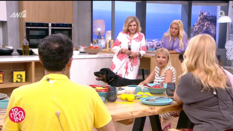 Συγκινητικό: Η Λίτσα Πατέρα έσωσε αδεσποτάκι - Υιοθέτησε σκυλάκι on air από το Save Animals που είχε πάει στο Πρωινό [Εικόνες]