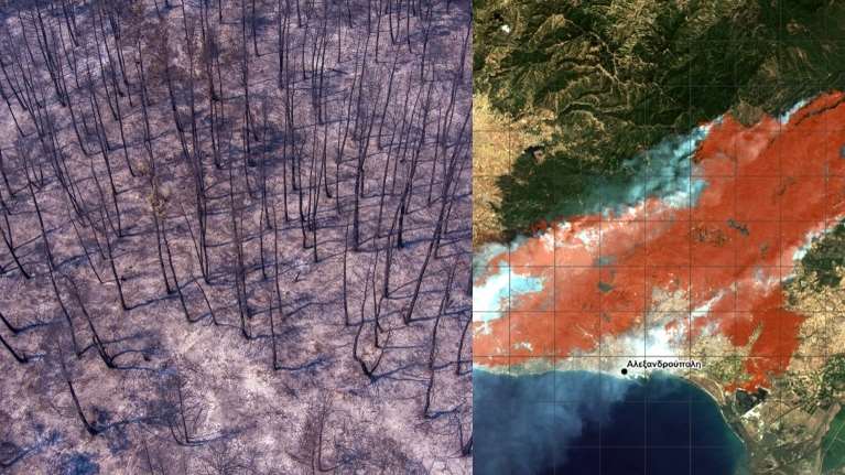 Πυρκαγιές: Περισσότερα από 617.000 στρέμματα κατέκαψε η φωτιά στον Έβρο - Πάνω από 50.000 στη Φυλή Αττικής