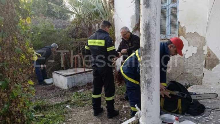 Κουταβάκια έπεσαν σε πηγάδι 13 μέτρων στο Βόλο -  Η υπερπροσπάθεια των πυροσβεστών για να τα σώσουν