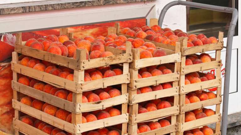 Φοροδιαφυγή και στα… ροδάκινα: Διακινούσαν 625 τόνους χωρίς παραστατικά