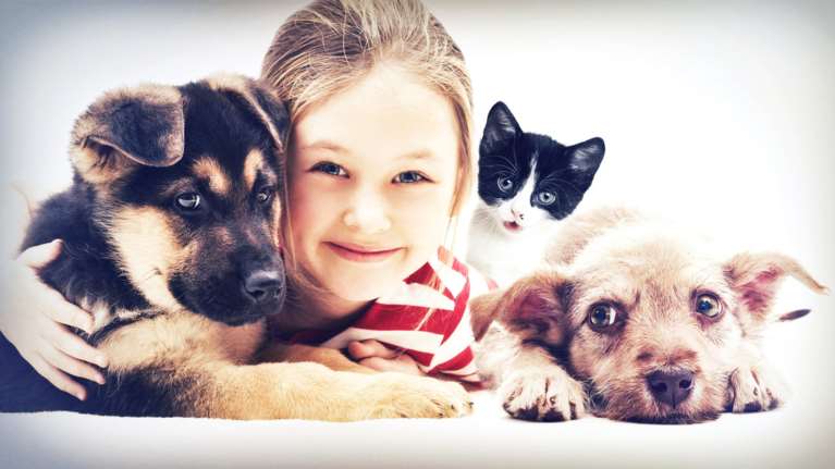 Αφιέρωμα στην Παγκόσμια Ημέρα Ζώων: Από την αρχαία Ελλάδα στο σήμερα