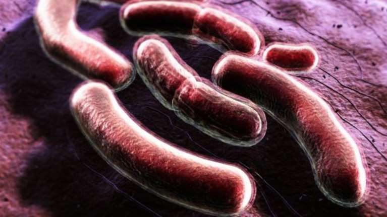 ΠΟΥ: Η φυματίωση  η φονικότερη μολυσματική νόσος παγκοσμίως, με 1,23 εκατ. θανάτους το 2024