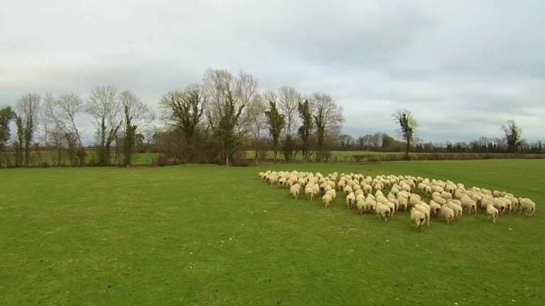 ΟΠΕΚΕΠΕ: Δέσμευση περιουσιακών στοιχείων για 55 &quot;πολύ ύποπτες&quot; περιπτώσεις δήθεν αγροτών που πήραν επιδότηση