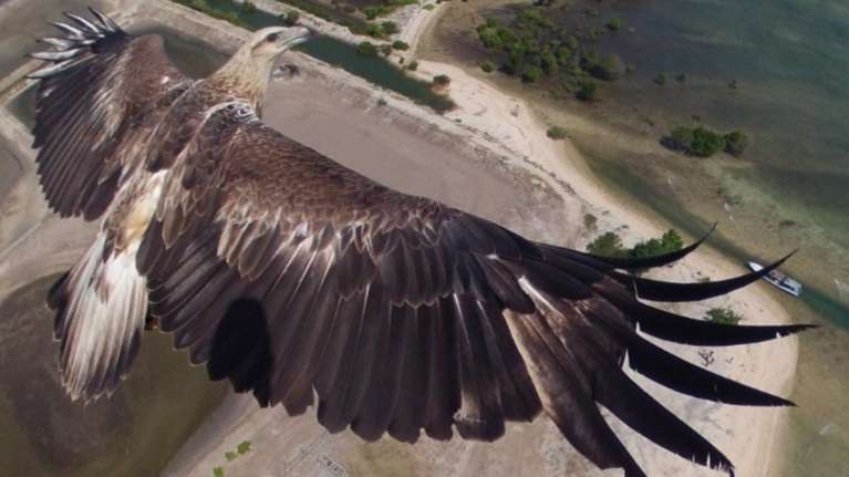 Dronestagram: Ο πλανήτης με «τα μάτια ενός πουλιού»