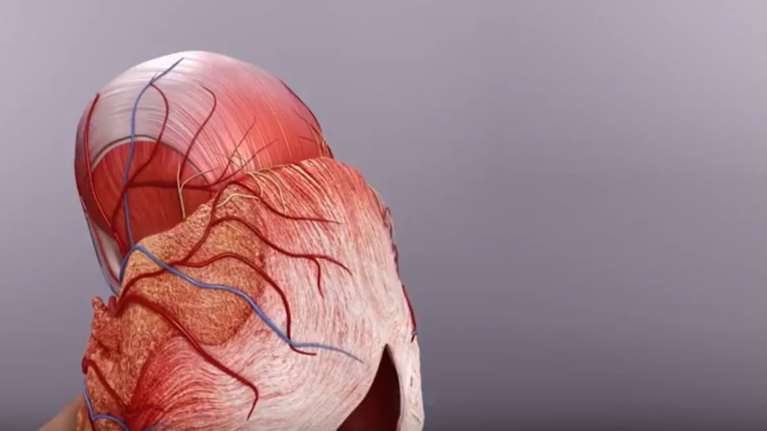 Έτσι έγινε η πιο εκτεταμένη μεταμόσχευση προσώπου