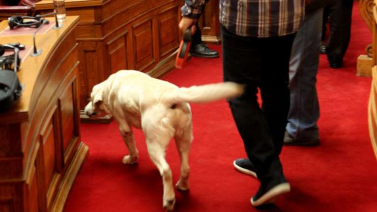 Λευκό λαμπραντόρ μπήκε στη συνεδρίαση της ΚΟ του ΣΥΡΙΖΑ: Φωτό