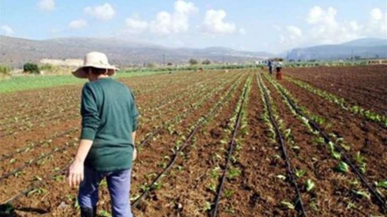 Το υπουργείο ζητά απ' τους αγρότες να επιστρέψουν τις επιδοτήσεις