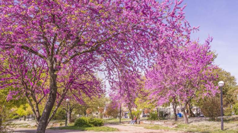 25η Μαρτίου: Αυτοί είναι οι δημοφιλέστεροι ελληνικοί προορισμοί