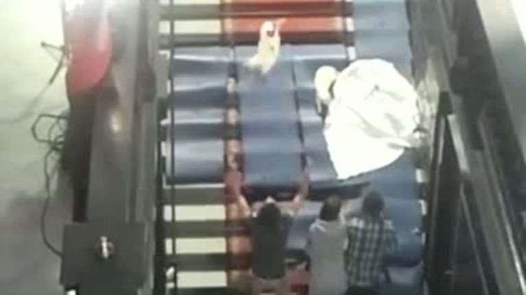 Αίσχος: Πετούσαν γάτες στον αέρα σε παράσταση του Φαμπρ