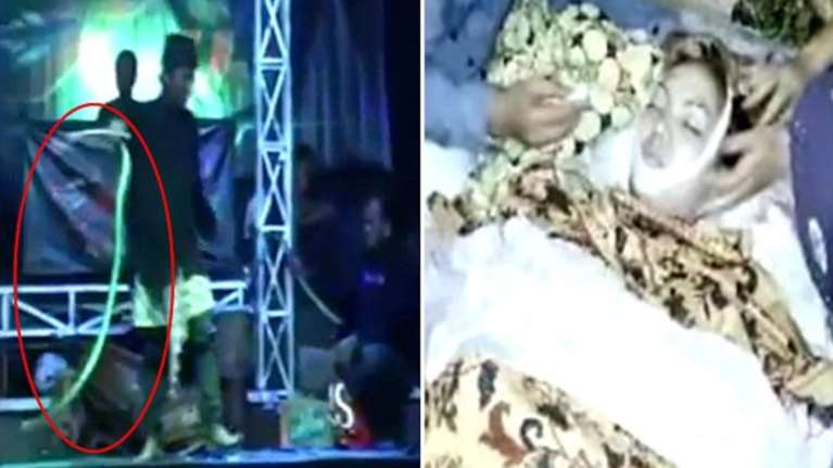 Τη δάγκωσε κόμπρα και όμως συνέχισε να τραγουδάει