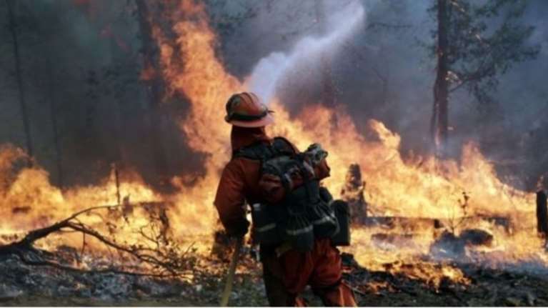 Ο πιο ανόητος εμπρηστής του κόσμου, τράβηξε βίντεο ενώ έβαζε τη φωτιά