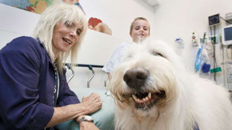 Νοσοκομείο στον Καναδά καθιερώνει επισκεπτήριo ζώων στα αφεντικά τους