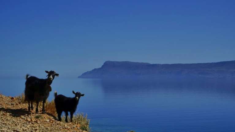 Public Moments Awards: H Ελλάδα αλλιώς, μέσα από τον φακό