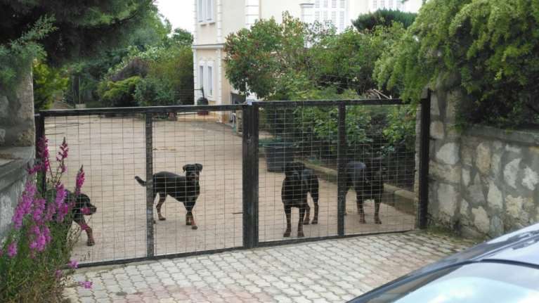 Ιατροδικαστικό πόρισμα-σοκ για την επίθεση των Ροτβάιλερ