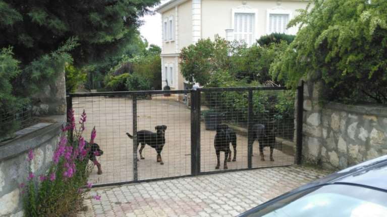 Πήραν από τον 72χρονο όλα τα ροτβάιλερ