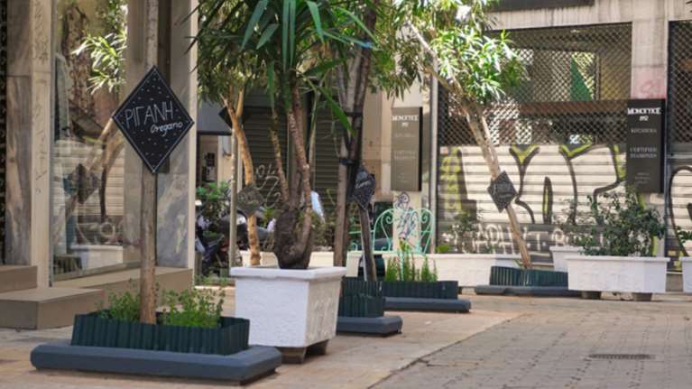 Ένας μικρός μεσογειακός κήπος στο κέντρο της Αθήνας