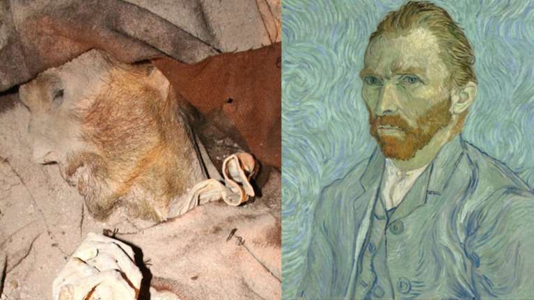 Βρέθηκε στην Ισπανία: Μούμια ολόιδια με τον Βαν Γκογκ!